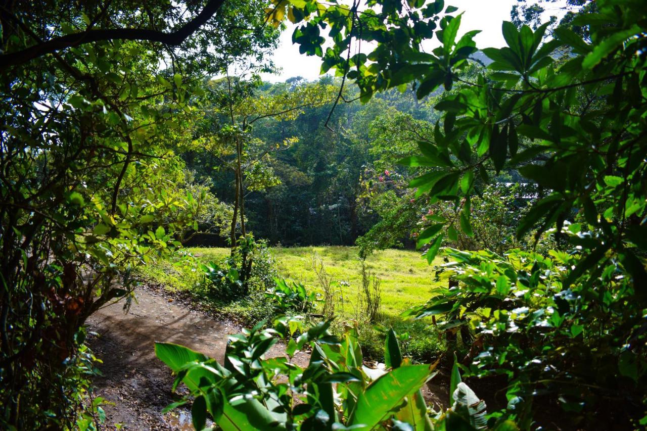 Cabanas Lys Monteverde Exterior foto